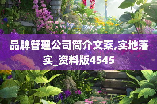 品牌管理公司简介文案,实地落实_资料版4545