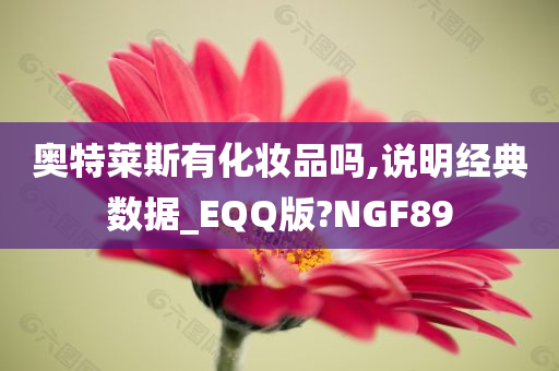 奥特莱斯有化妆品吗,说明经典数据_EQQ版?NGF89
