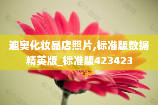 迪奥化妆品店照片,标准版数据精英版_标准版423423