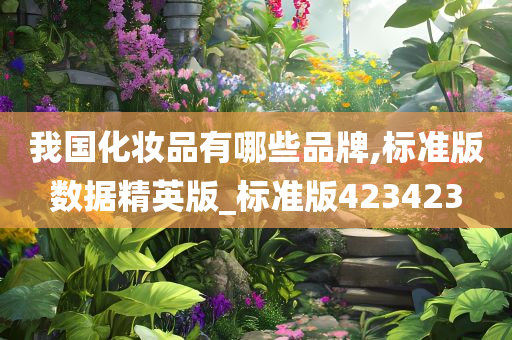 我国化妆品有哪些品牌,标准版数据精英版_标准版423423