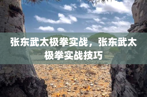 张东武太极拳实战，张东武太极拳实战技巧