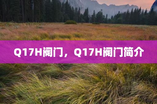 Q17H阀门，Q17H阀门简介