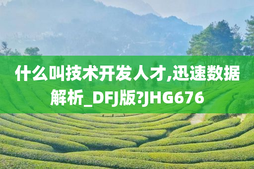 什么叫技术开发人才,迅速数据解析_DFJ版?JHG676
