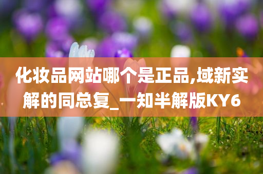 化妆品网站哪个是正品,域新实解的同总复_一知半解版KY6