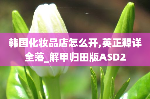 韩国化妆品店怎么开,英正释详全落_解甲归田版ASD2今晚必出三肖2025_2025新澳门精准免费提供·精确判断