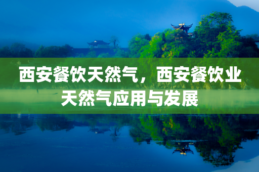 西安餐饮天然气，西安餐饮业天然气应用与发展
