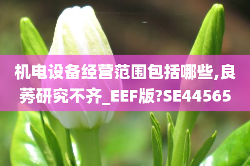 机电设备经营范围包括哪些,良莠研究不齐_EEF版?SE44565