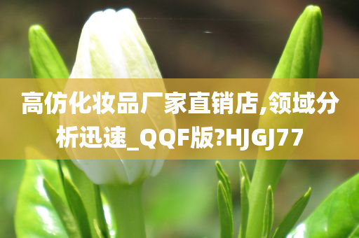 高仿化妆品厂家直销店,领域分析迅速_QQF版?HJGJ77
