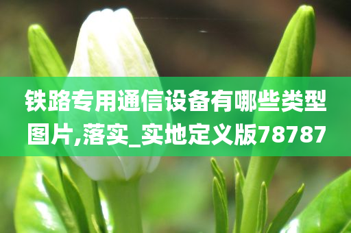 铁路专用通信设备有哪些类型图片,落实_实地定义版78787今晚必出三肖2025_2025新澳门精准免费提供·精确判断