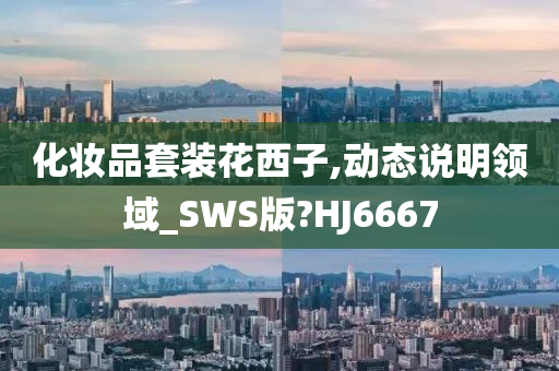 化妆品套装花西子,动态说明领域_SWS版?HJ6667