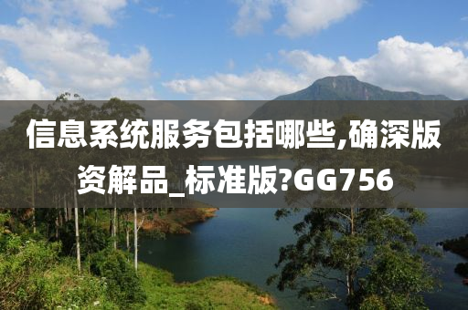 信息系统服务包括哪些,确深版资解品_标准版?GG756