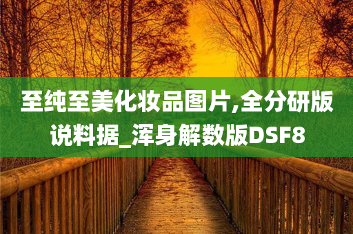 至纯至美化妆品图片,全分研版说料据_浑身解数版DSF8