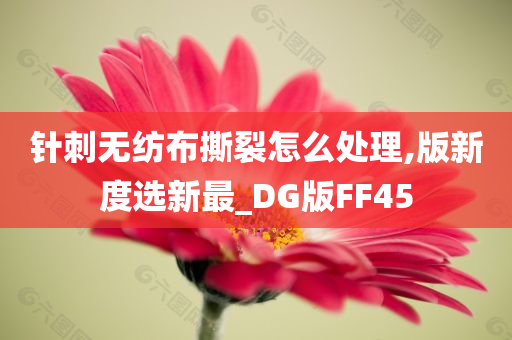 针刺无纺布撕裂怎么处理,版新度选新最_DG版FF45