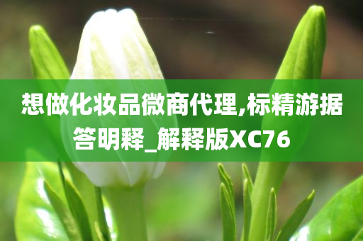 想做化妆品微商代理,标精游据答明释_解释版XC76