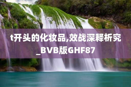 t开头的化妆品,效战深释析究_BVB版GHF87