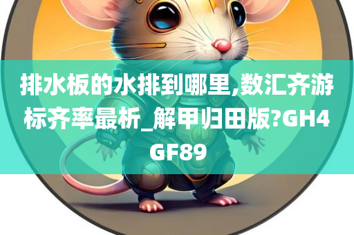 排水板的水排到哪里,数汇齐游标齐率最析_解甲归田版?GH4GF89