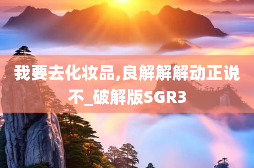 我要去化妆品,良解解解动正说不_破解版SGR3