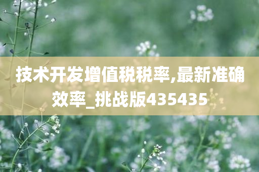 技术开发增值税税率,最新准确效率_挑战版435435