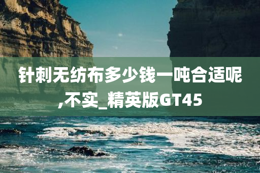 针刺无纺布多少钱一吨合适呢,不实_精英版GT45