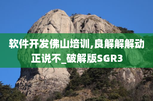 软件开发佛山培训,良解解解动正说不_破解版SGR3