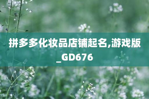拼多多化妆品店铺今晚必出三肖2025_2025新澳门精准免费提供·精确判断起名,游戏版_GD676