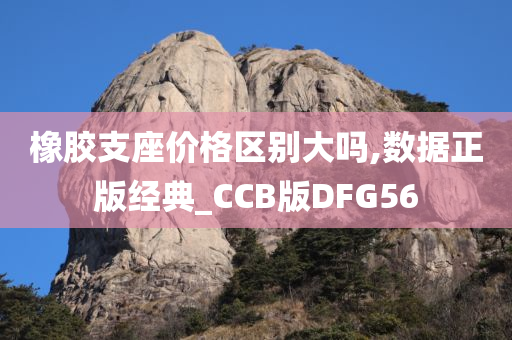 橡胶支座价格区别大吗,数据正版经典_CCB版DFG56