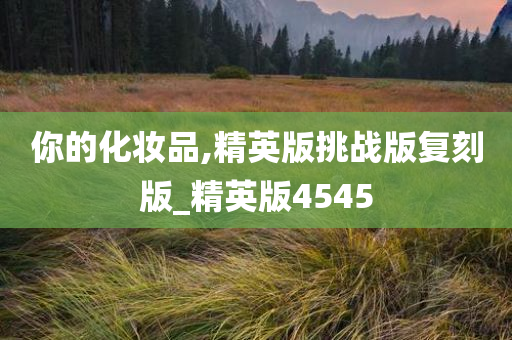 你的化妆品,精英版挑战版复刻版_精英版4545