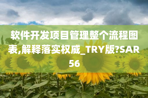 软件开发项目管理整个流程图表,解释落实权威_TRY版?SAR56今晚必出三肖2025_2025新澳门精准免费提供·精确判断