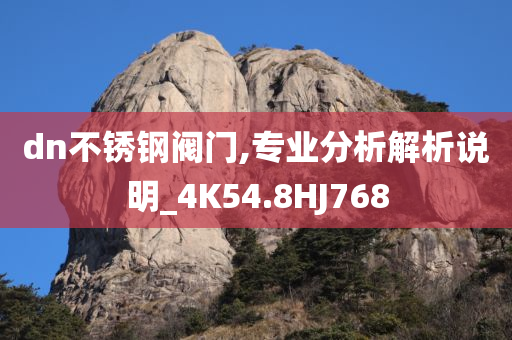 dn不锈钢阀门,专业分析解析说明_4K54.8HJ768