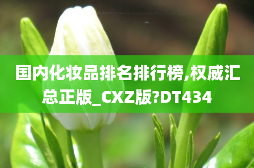 国内化妆品排名排行榜,权威汇总正版_CXZ版?DT434
