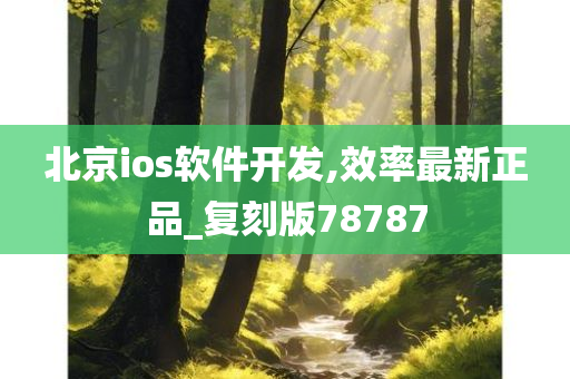 北京ios软件开发,效率最新正品_复刻版78787