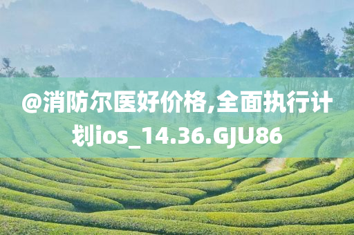 @消防尔医好价格,全面执行计划ios_14.36.GJU86