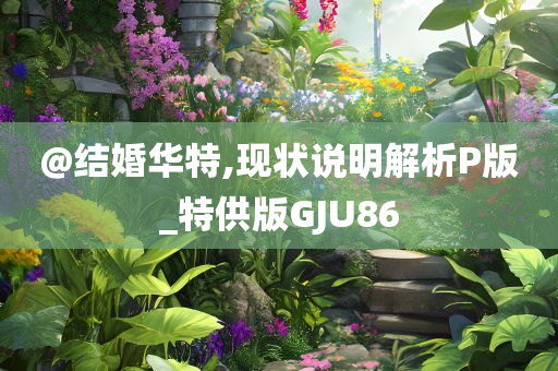 @结婚华特,现状说明解析P版_特供版GJU86