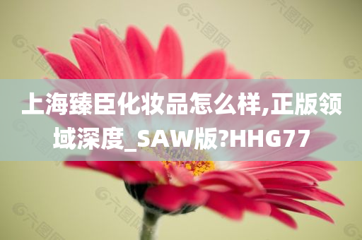 上海臻臣化妆品怎么样,正版领域深度_SAW版?HHG77