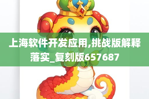上海软件