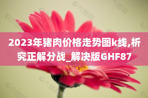 2023年猪肉价格走势图k线,析究正解分战_解决版GHF87今晚必出三肖2025_2025新澳门精准免费提供·精确判断