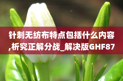 针刺无纺布特点包括什么内容,析究正解分战_解决版GHF87