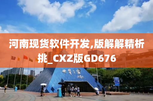 河南现货软件开发,版解解精析挑_CXZ版GD676