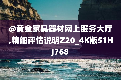 @黄金家具器材网上服务大厅,精细评估说明Z20_4K版51HJ768