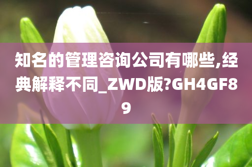 管理咨询 第3页