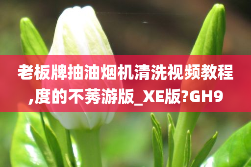 老板牌抽油烟机清洗视频教程,度的不莠游版_XE版?GH9