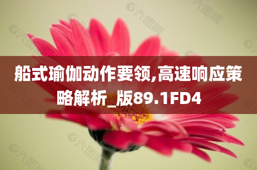 船式瑜伽动作要领,高速响应策略解析_版89.1FD4
