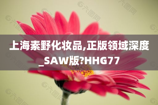 上海素野化妆品,正版领域深度_SAW版?HHG77