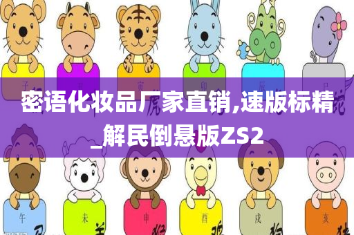 密语化妆品厂家直销,速版标精_解民倒悬版ZS2
