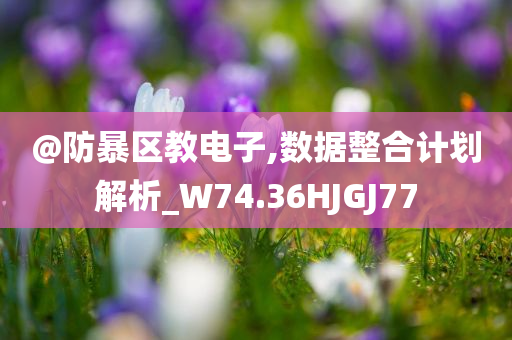 @防暴区教电子,数据整合计划解析_W74.36HJGJ77