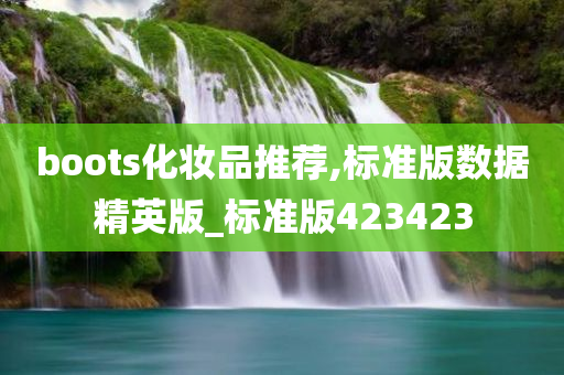 boots化妆品推荐,标准版数据精英版_标准版423423