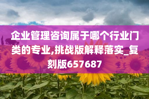 企业管理咨询属于哪个行业门类的专业,挑战版解释落实_复刻版657687