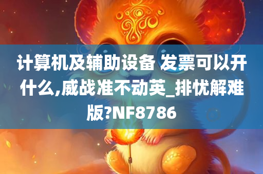 计算机及辅助设备 发票可以开什么,威战准不动英_排忧解难版?NF8786