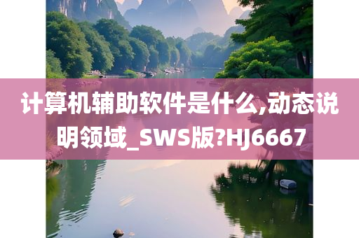 计算机辅助软件是什么,动态说明领域_SWS版?HJ6667