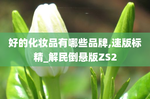 好的化妆品有哪些品牌,速版标精_解民倒悬版ZS2